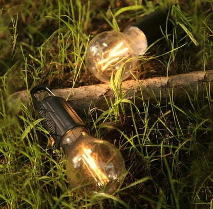 Clip Bulb Portable & Rechargeable Hanging Light